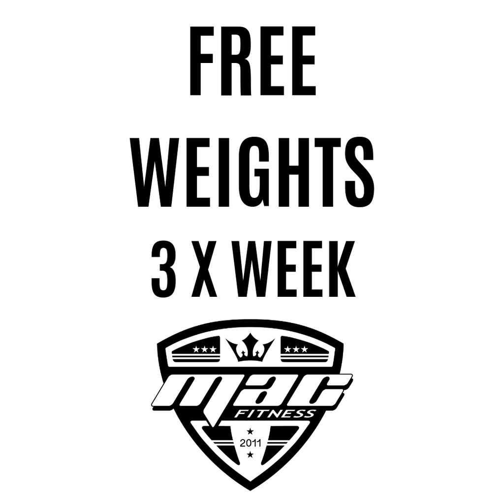 Free Weights (3x/Week) Free Weights (3x/Week)